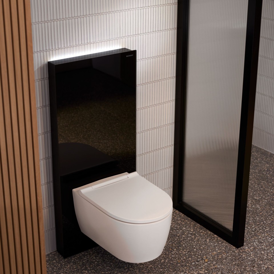 Geberit Monolith Plus sanitarinis modulis