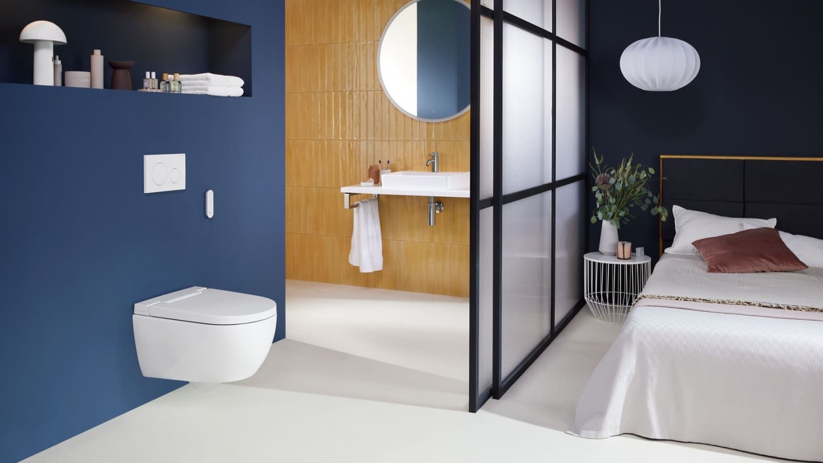 Geberit AquaClean Alba WC puodas su apiplovimo funkcija Geberit AquaClean Alba WC puodas su apiplovimo funkcija