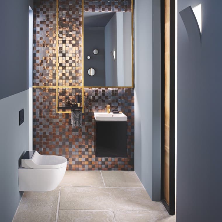 Geberit AquaClean Tuma Comfort WC puodas su apiplovimo funkcija, esantis Geberit Acanto vonios kambaryje Geberit AquaClean Tuma Comfort WC puodas su apiplovimo funkcija, esantis Geberit Acanto vonios kambaryje