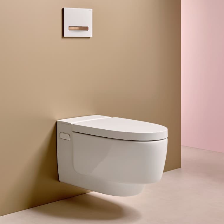 Geberit AquaClean Mera WC puodas su apiplovimo funkcija Geberit AquaClean Mera WC puodas su apiplovimo funkcija